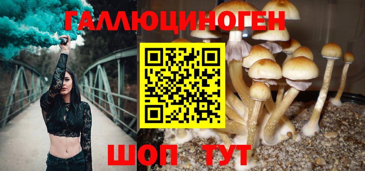 Касимов  Галлюциногенные грибы MAGIC MUSHROOMS  Вход с VPN 